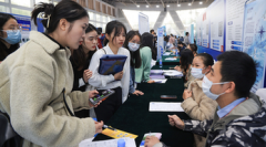 揭秘股票交易日：市场波动、交易机会与投资策略